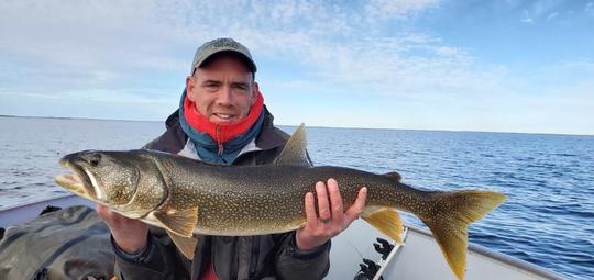 Lake Trout