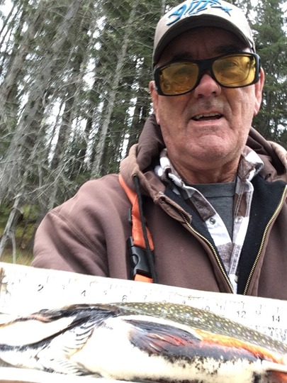 Brook Trout