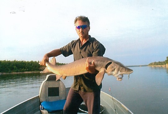 Lake Sturgeon