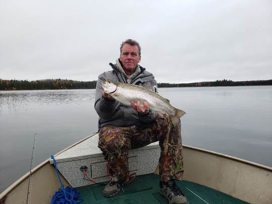 Rainbow Trout