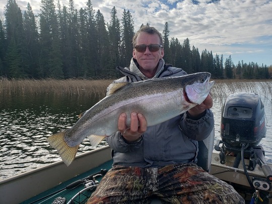 Rainbow Trout