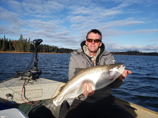 Rainbow Trout