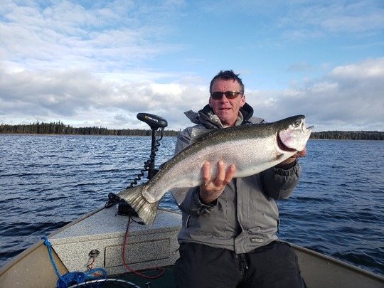 Rainbow Trout
