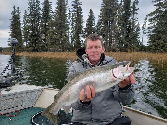 Rainbow Trout