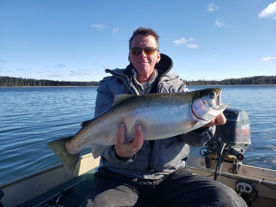 Rainbow Trout