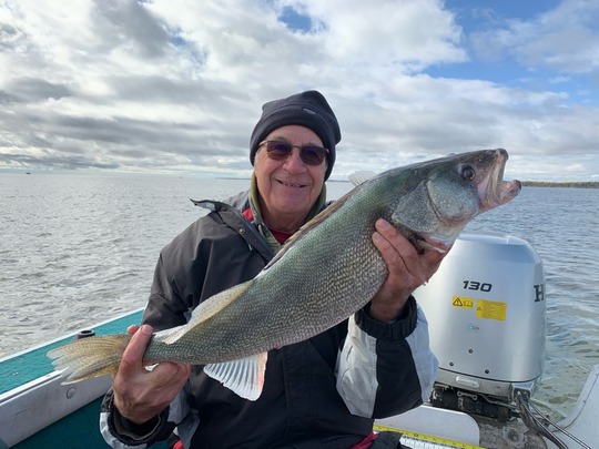 Walleye