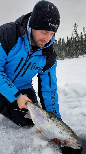 Rainbow Trout