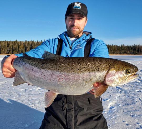 Rainbow Trout