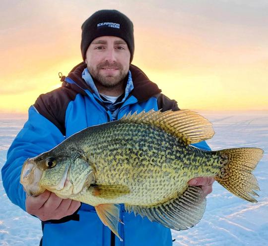 Black Crappie