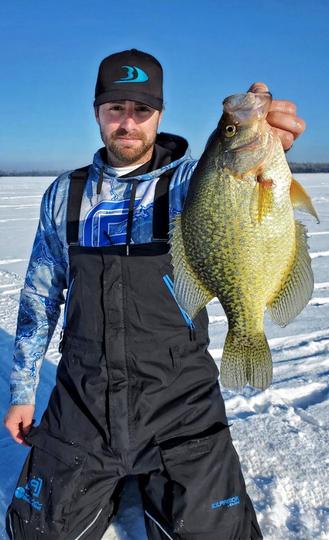 Black Crappie