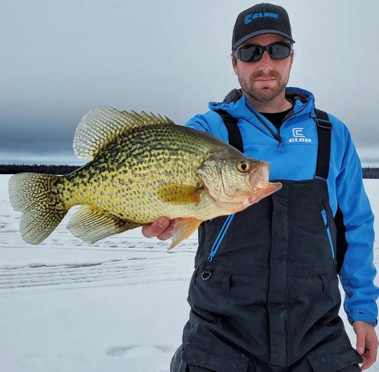 Black Crappie