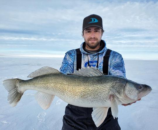 Walleye