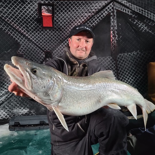 Lake Trout