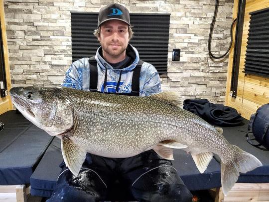 Lake Trout