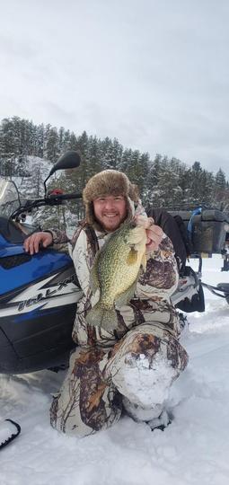 Black Crappie