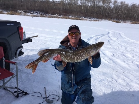 Northern Pike