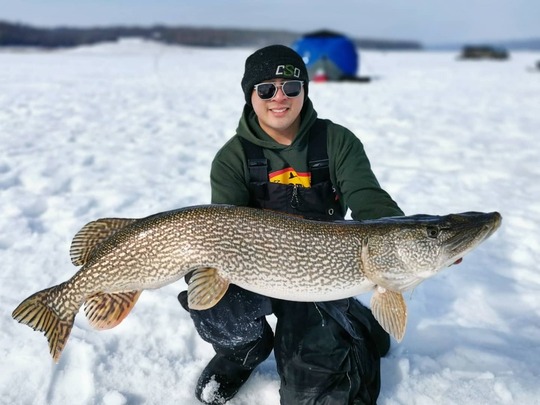 Northern Pike