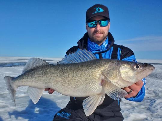 Walleye