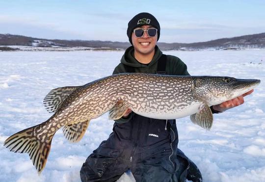 Northern Pike