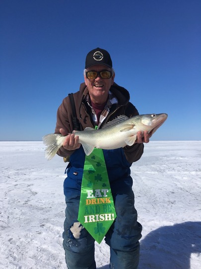 Walleye