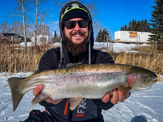 Rainbow Trout