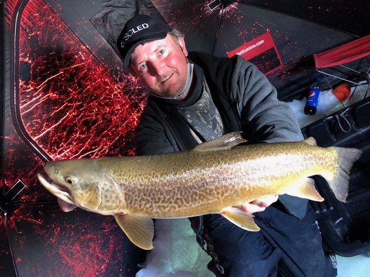 Tiger Trout