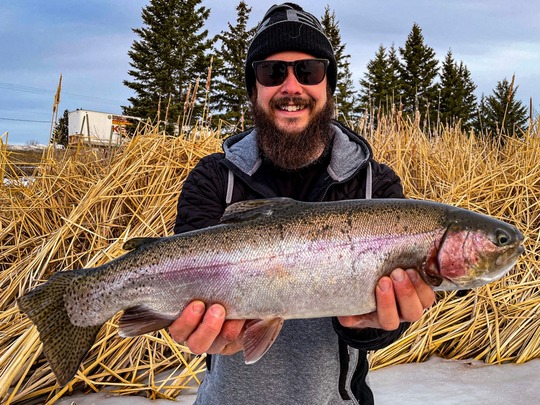 Rainbow Trout