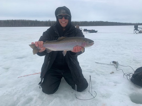 Rainbow Trout