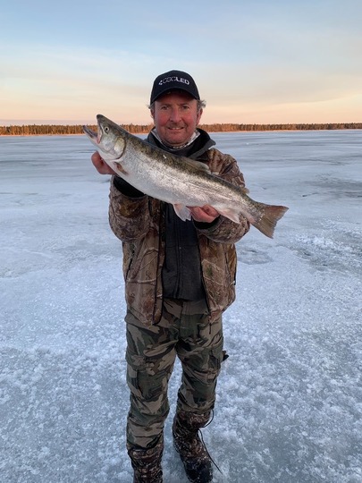 Tiger Trout