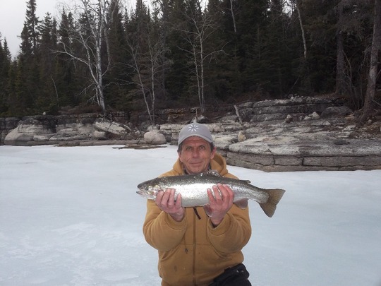 Rainbow Trout