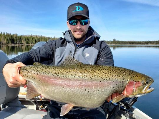 Rainbow Trout