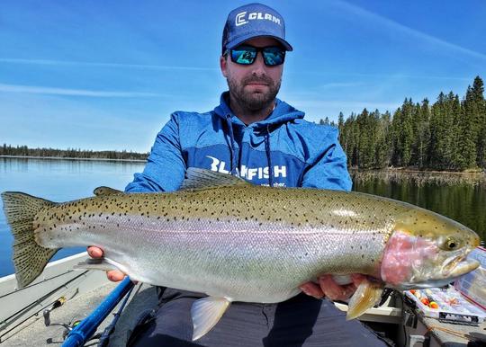 Rainbow Trout