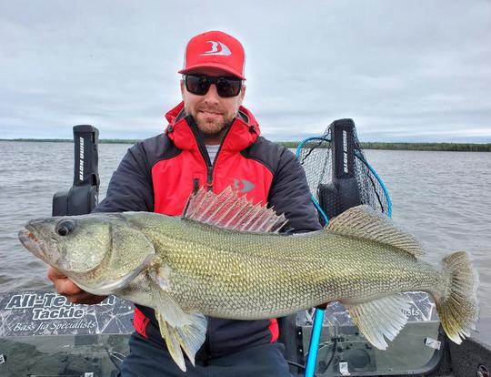 Walleye