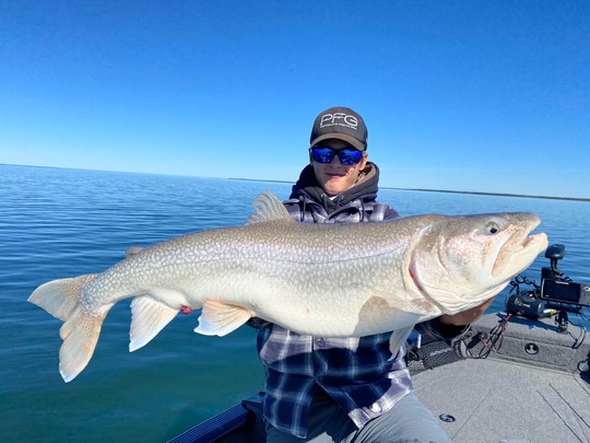 Lake Trout