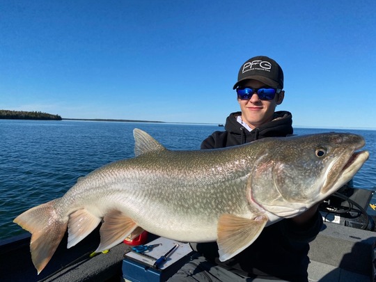 Lake Trout