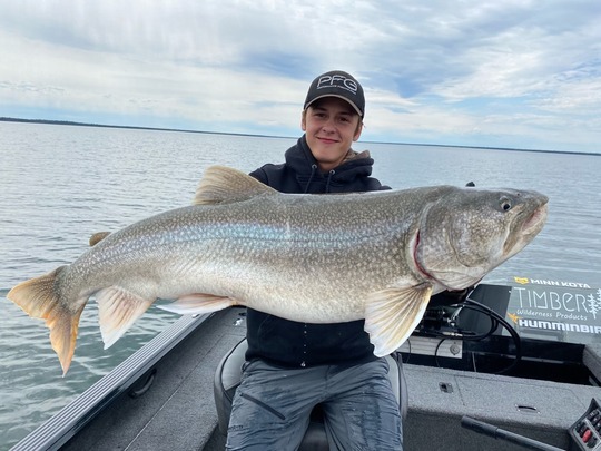 Lake Trout