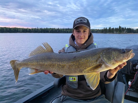 Walleye