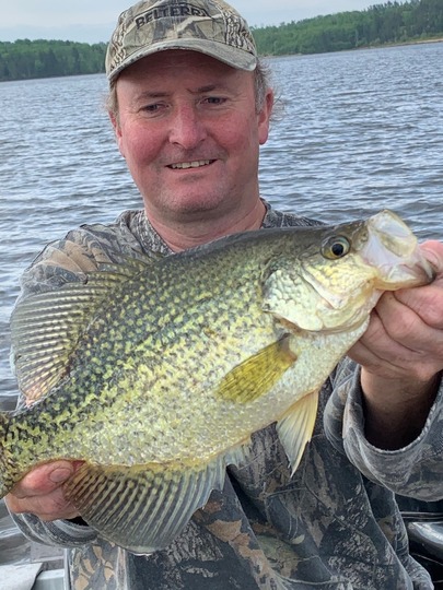 Black Crappie