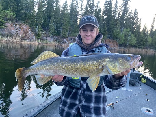 Walleye