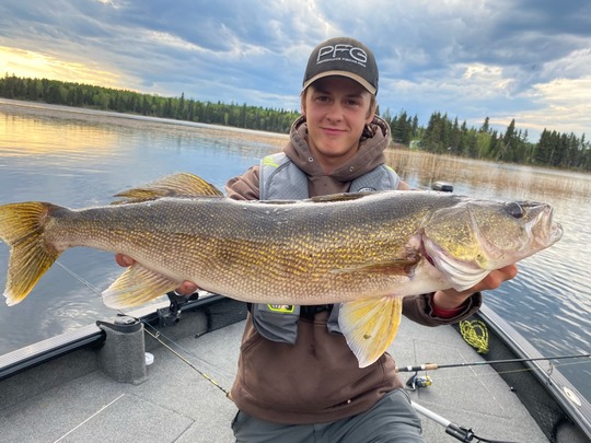 Walleye