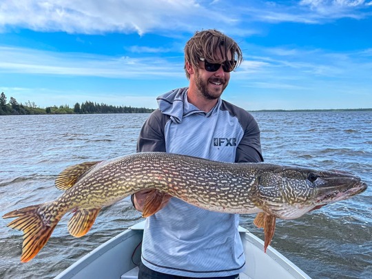 Northern Pike