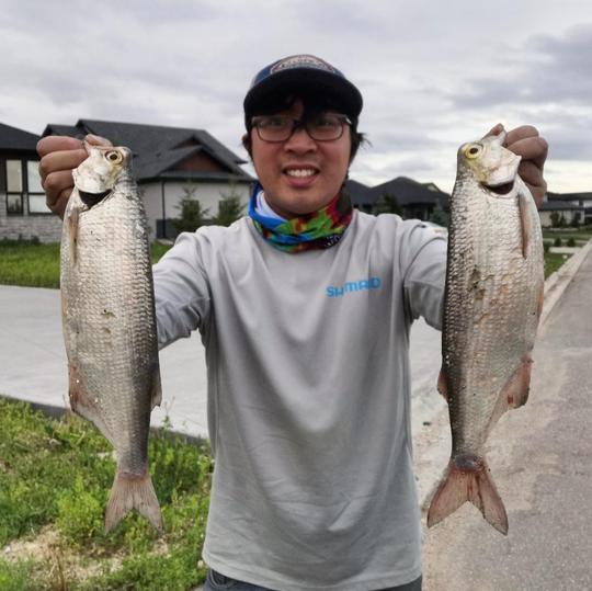 Goldeye