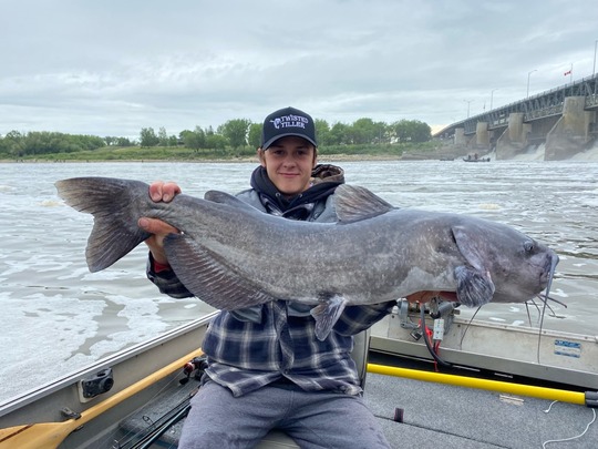 Channel Catfish