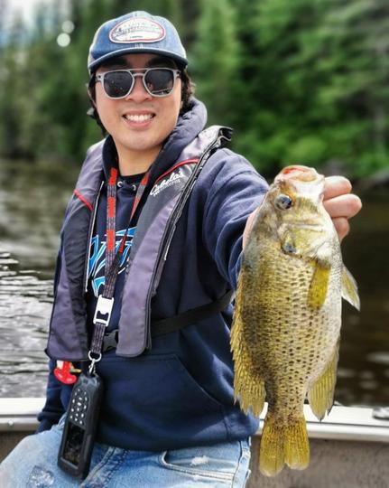 Rock Bass