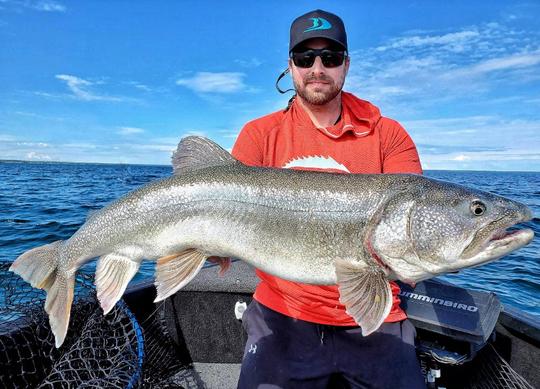 Lake Trout