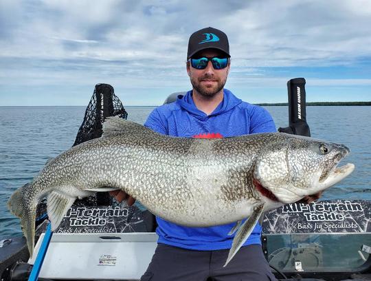 Lake Trout