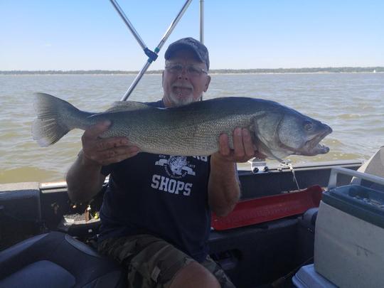 Walleye