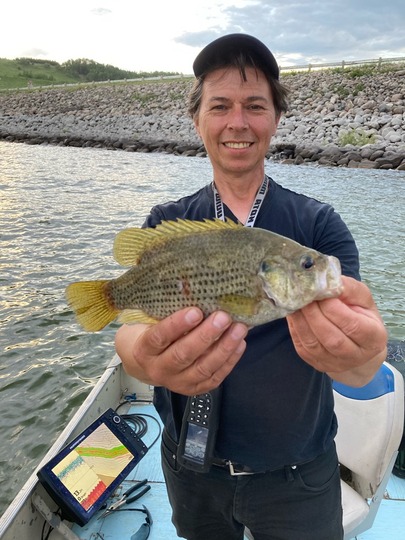 Rock Bass