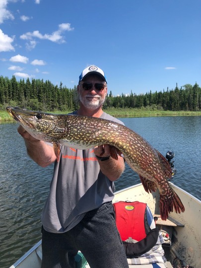 Northern Pike