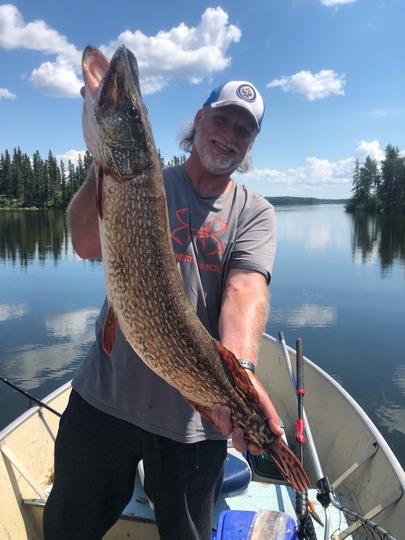 Northern Pike